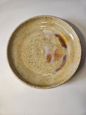 Mini plate
